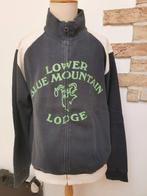 Mooie jeans kleurige heren hoody met rits, Ophalen of Verzenden, Zo goed als nieuw, Maat 56/58 (XL)