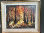Olieverfschilderij Placied Rosseel, Ophalen of Verzenden