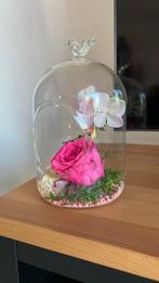Rose éternelle sous cloche ouverte, Ophalen, Zo goed als nieuw