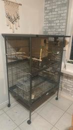 Een groot kooi 120€hand tame valkparkiet 70€, Dieren en Toebehoren, Vogels | Hokken en Kooien, Ophalen, Nieuw, Metaal, Vogelkooi