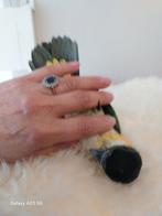 Caique, Dieren en Toebehoren, Dwergpapegaai of Agapornis