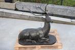 herten liggend in gietijzer met bronzen of roestige patina!, Tuin en Terras, Tuinbeelden, Ophalen of Verzenden, Nieuw, Metaal