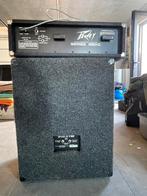 Peavey 260C versterker en box, Muziek en Instrumenten, Versterkers | Bas en Gitaar, Ophalen, Gebruikt