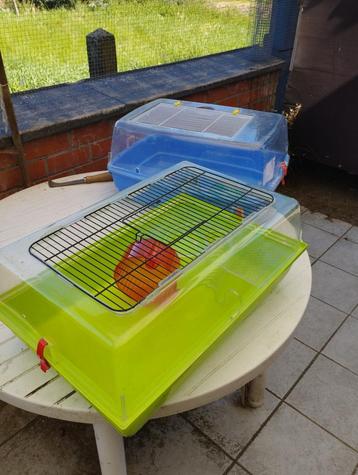 Hamster/muizen kooi en... beschikbaar voor biedingen