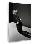 Une nature morte avec des fleurs et des ombres sur toile 60, 75 à 100 cm, Envoi, Création originale, 50 à 75 cm