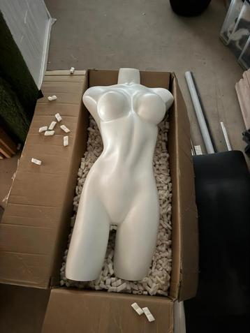 Vrouwelijke etalage Torso (Best Mannequins - Nieuw) beschikbaar voor biedingen
