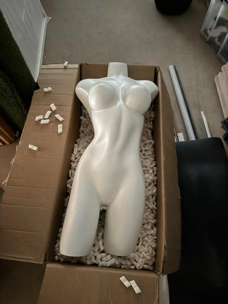 Vrouwelijke etalage Torso (Best Mannequins - Nieuw), Articles professionnels, Aménagement de Bureau & Magasin | Commerce & Inventaire