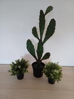 Kunstplanten Ikea Fejka, Ophalen