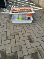 Cavia hok geschikt voor 2 cavia’s, Ophalen, Zo goed als nieuw, Hok, Cavia