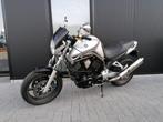 Yamaha Bt1100 Bulldog Met Garantie!, Motos, Motos | Yamaha, Entreprise, Plus de 35 kW, 2 cylindres, 1100 cm³