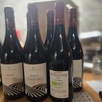 ​Vin rouge Bio - Colle Petruccio Ardente 2019 (Montecucco DO, Enlèvement ou Envoi, Vin rouge