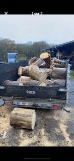 Droog dennenhout, Ophalen of Verzenden