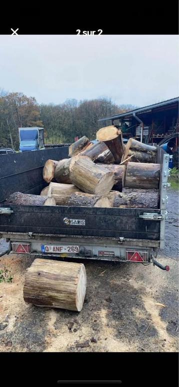 Droog dennenhout beschikbaar voor biedingen