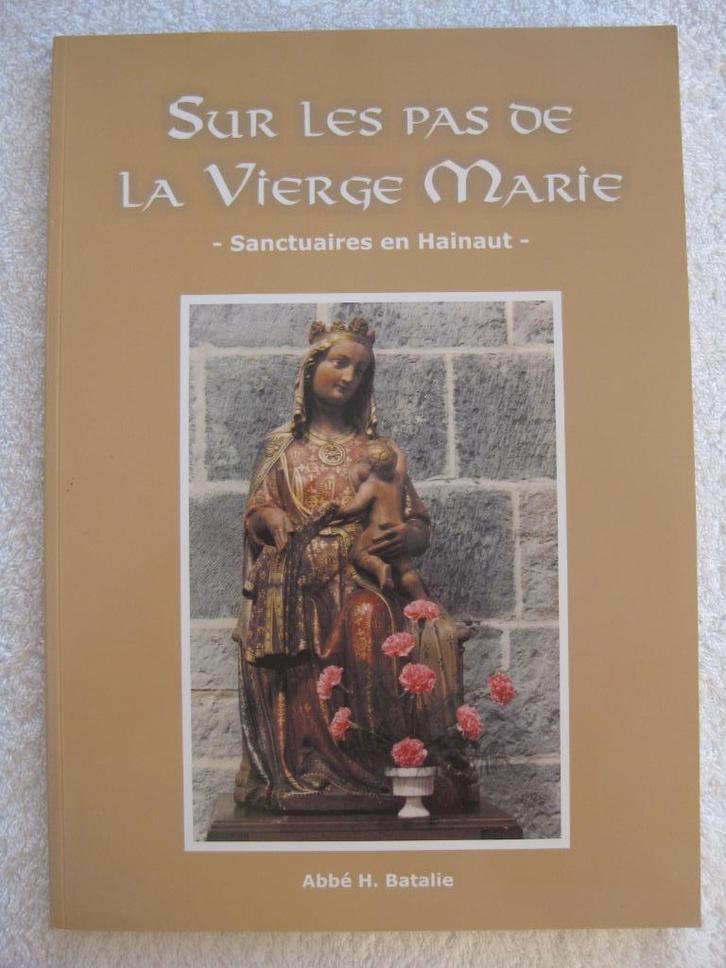 Hainaut et patrimoine religieux – abbé Batalie - 2004, Boeken, Geschiedenis | Nationaal, Gelezen, Ophalen of Verzenden