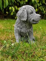 Golden Retriever puppy , sjaak, Antiek en Kunst, Ophalen of Verzenden