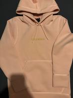 Jordan hoodie nieuw!, Kleding | Heren, Ophalen, Nieuw, Roze, Nike air Jordan