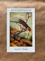 Vogels der Belgische Fauna - Reeks 17, Ophalen of Verzenden