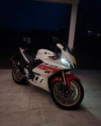Yamaha R3 60th anniversary edition (A2 - 35kw), Motoren
