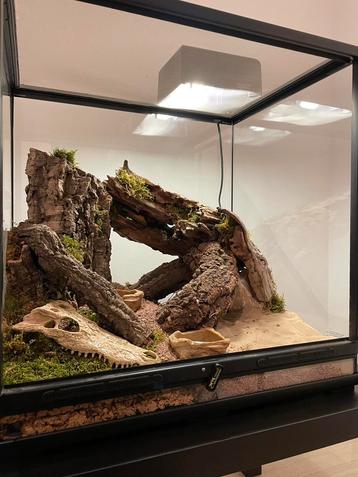 Terrarium (ingericht) beschikbaar voor biedingen