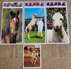 4 Panini stickers reeks Paarden, Verzamelen, Stickers, Ophalen of Verzenden, Zo goed als nieuw, Dier en Natuur