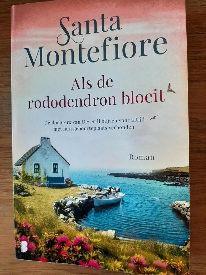 Als de rodondendron bloeit - Santa Montefiore, Livres, Romans, Enlèvement