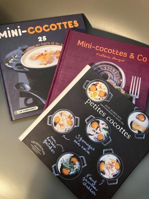 Livres de cuisine - Recettes mini-cocottes, Livres, Livres de cuisine, Comme neuf, Entrées et Soupes, Plat principal, Gâteau, Tarte, Pâtisserie et Desserts