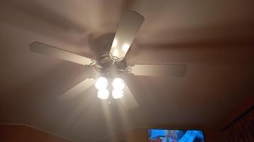 Plafondventilator met verlichting, Enlèvement, Utilisé, Ventilateur de plafond