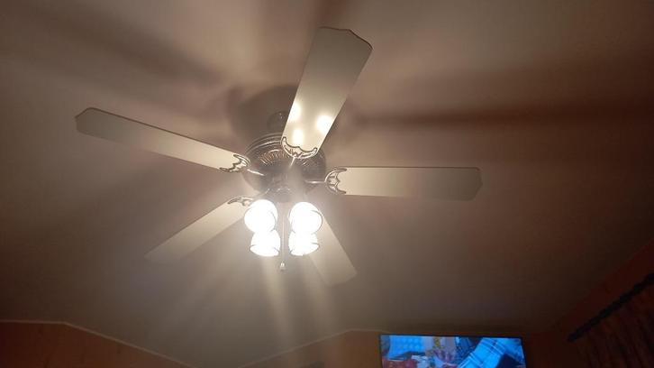 Plafondventilator met verlichting, Elektronische apparatuur, Ventilatoren, Gebruikt, Plafondventilator, Ophalen