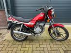 Honda MCX 80 top staat !, Chopper, Bedrijf, 79 cc, 1 cilinder