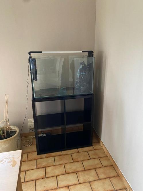 Aquarium te koop, Animaux & Accessoires, Poissons | Aquariums & Accessoires, Utilisé, Aquarium vide, Enlèvement