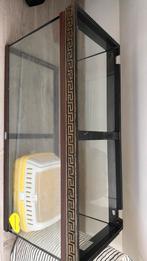 Terrarium te koop, Ophalen, Gebruikt, Terrarium of Paludarium