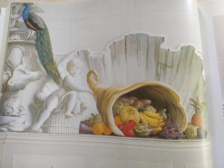 boek: the painted house/Graham Rust, Livres, Art & Culture | Arts plastiques, Utilisé, Peinture et dessin, Enlèvement ou Envoi