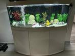 Aquarium juwel 450L, Animaux & Accessoires, Poissons | Aquariums & Accessoires, Enlèvement, Comme neuf