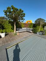 Lounge bank te koop, Tuin en Terras, Tuinmeubel-accessoires, Ophalen, Gebruikt