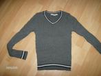 trui grijs merk bien bleu - maat xs duur inaankoop, Kleding | Dames, Ophalen of Verzenden, Bien bleu, Maat 34 (XS) of kleiner