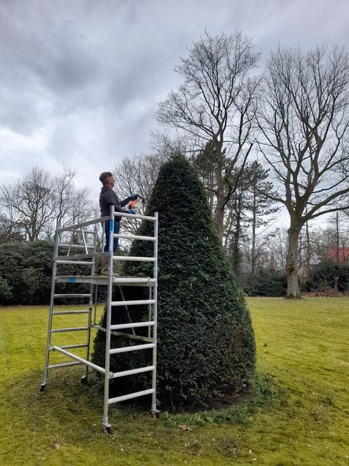 Tuinonderhoud en aanleg, Tuin en Terras, Overige Tuin en Terras, Zo goed als nieuw, Ophalen of Verzenden