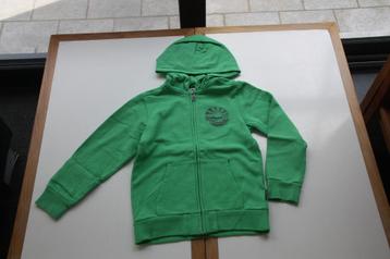 Protest groene cardigan 8 jaar, Gebruikt, Protest, Trui of Vest, Ophalen of Verzenden