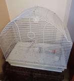 parkietenkooi, Dieren en Toebehoren, Ophalen, Gebruikt, Metaal, Vogelkooi