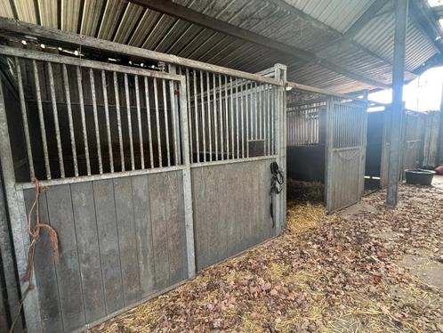 Paardenboxen (7 stuks) met uitschuifbare wanden, Dieren en Toebehoren, Stalling en Weidegang, Stalling, 4 paarden of pony's of meer