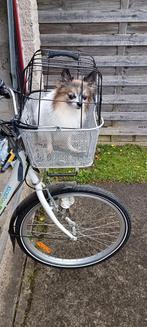 Panier chien pour vélo, Vélos & Vélomoteurs, Comme neuf, Enlèvement ou Envoi