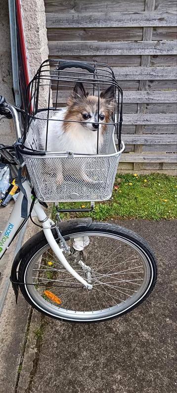 Panier chien pour vélo