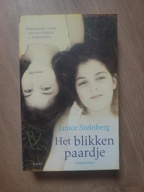 Janice Steinberg - Het blikken paardje, Livres, Littérature, Comme neuf, Enlèvement ou Envoi