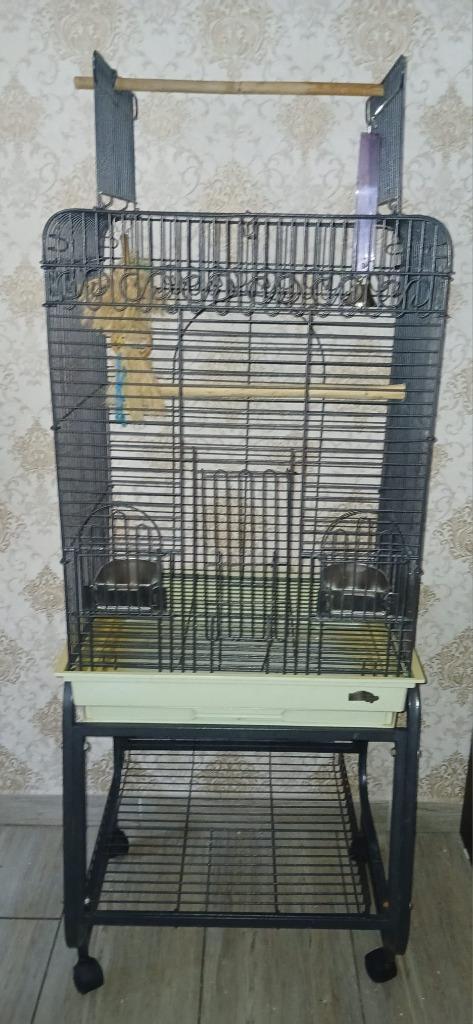 Grote vogelkooi met complete accessoires, Dieren en Toebehoren, Vogels | Hokken en Kooien, Zo goed als nieuw, Verzenden