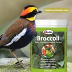 Broccoli 100g - eiwitten en mineralen bijdrage - Quiko, Dieren en Toebehoren, Ophalen
