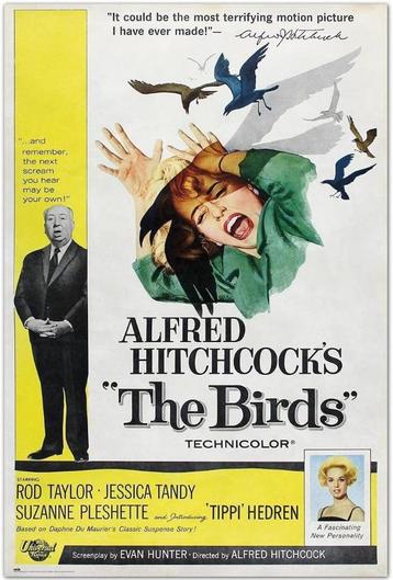 THE BIRDS beschikbaar voor biedingen