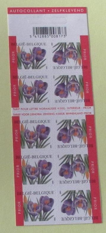 1 boekje B41 crocus beschikbaar voor biedingen
