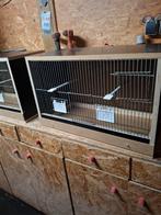 Nieuw vogelkooi, Dieren en Toebehoren, Ophalen, Nieuw, Hout, Vogelkooi