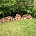 Essenhout winter 26/27, Tuin en Terras, 3 tot 6 m³, Ophalen of Verzenden, Essenhout, Blokken