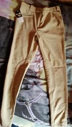 Lot de 3 pantalons d équitation taille 38, Ophalen of Verzenden, Zo goed als nieuw