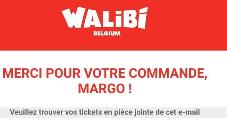 Walibi Belgium ticket voor 1 november, Tickets en Kaartjes, Recreatie | Pretparken en Attractieparken, Twee personen, Ticket of Toegangskaart